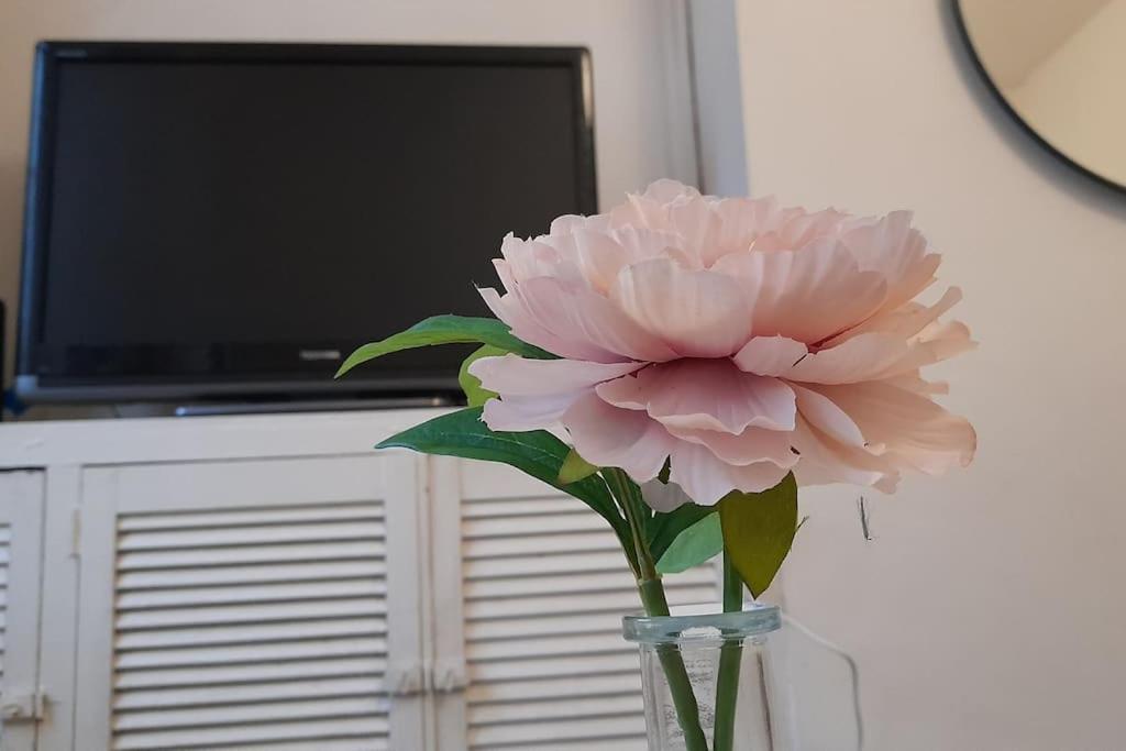 Spacious 4 Bedroom, Free Netflix, Central Location Cardiff Eksteriør bilde